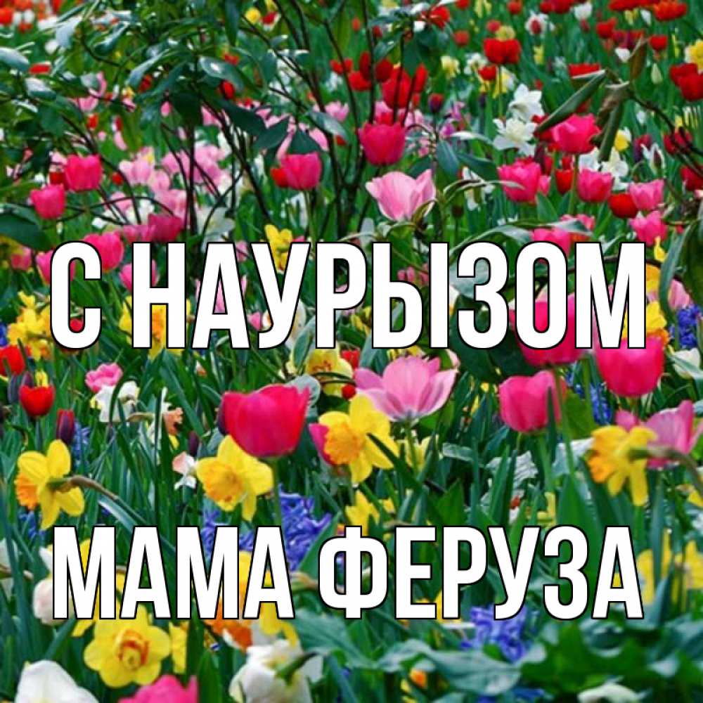 Открытка на каждый день с именем, Мама-Феруза С наурызом с наурызом праздником весны поздравления для женщины Прикольная открытка с пожеланием онлайн скачать бесплатно 