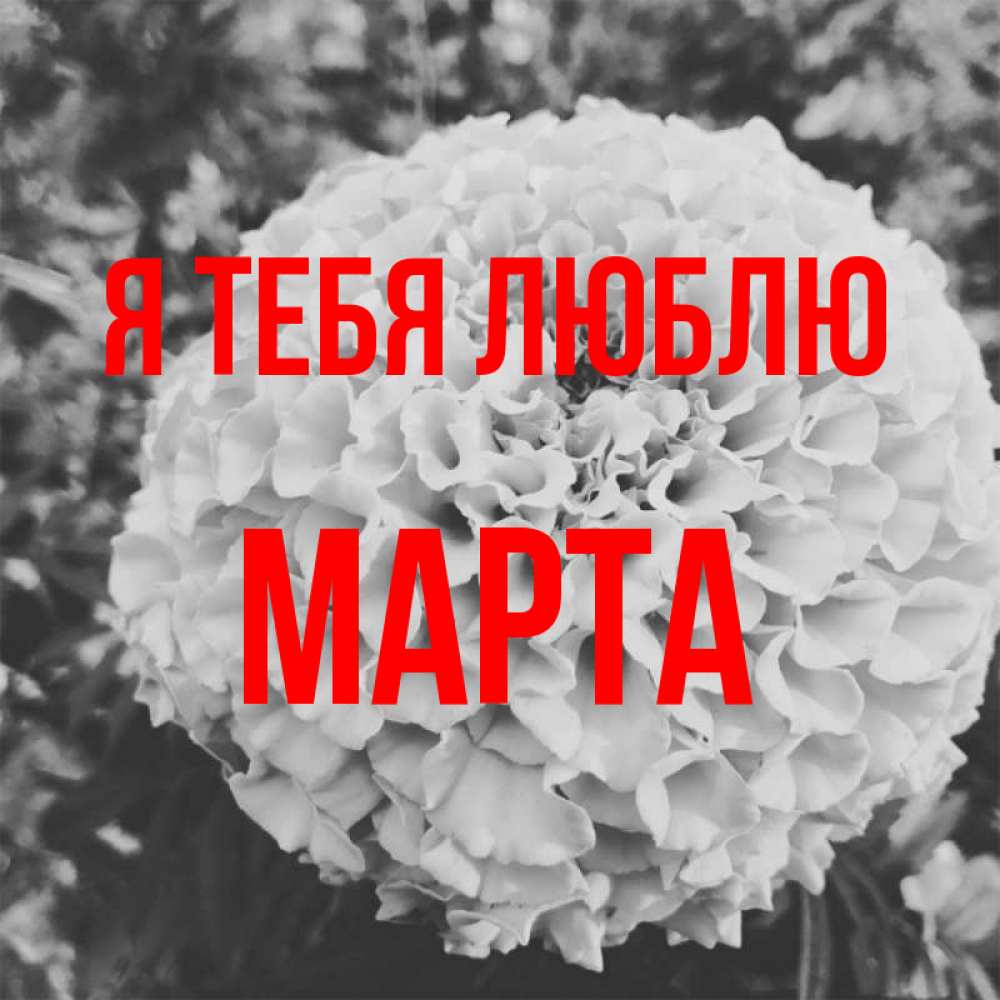 Открытка на каждый день с именем, Марта Я тебя люблю подпись Прикольная открытка с пожеланием онлайн скачать бесплатно 