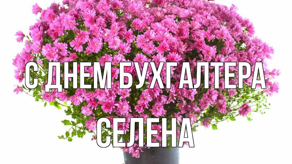 Открытка на каждый день с именем, Селена С днем бухгалтера с днем бухгалтера Прикольная открытка с пожеланием онлайн скачать бесплатно 