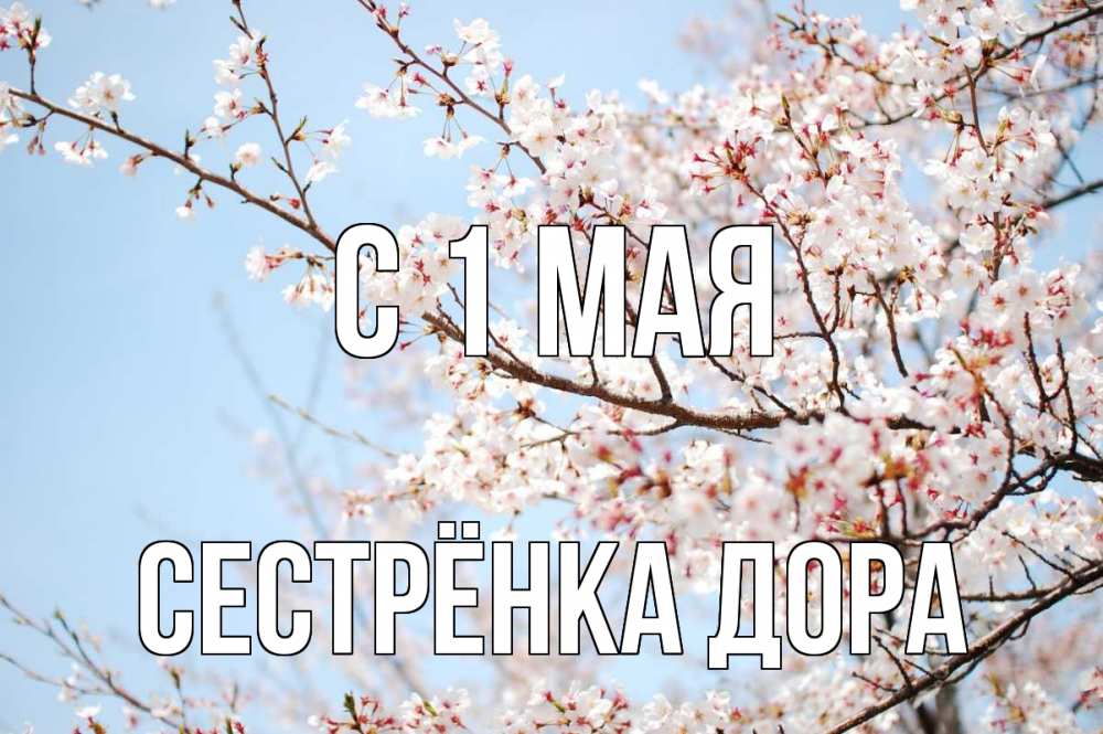 Открытка на каждый день с именем, Сестрёнка-Дора С 1 мая С 1 мая Прикольная открытка с пожеланием онлайн скачать бесплатно 