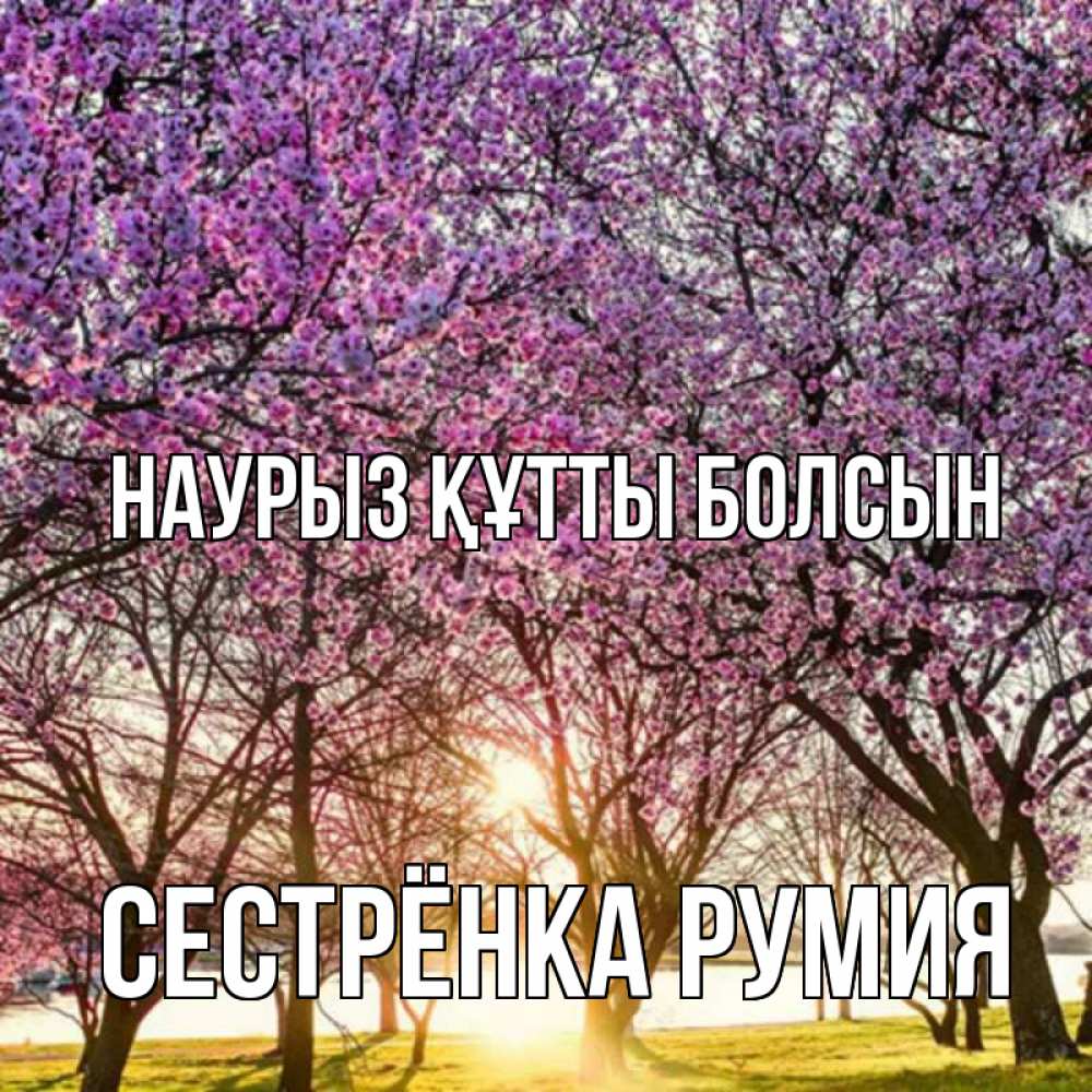 Открытка на каждый день с именем, Сестрёнка-Румия Наурыз құтты болсын наурыз Прикольная открытка с пожеланием онлайн скачать бесплатно 