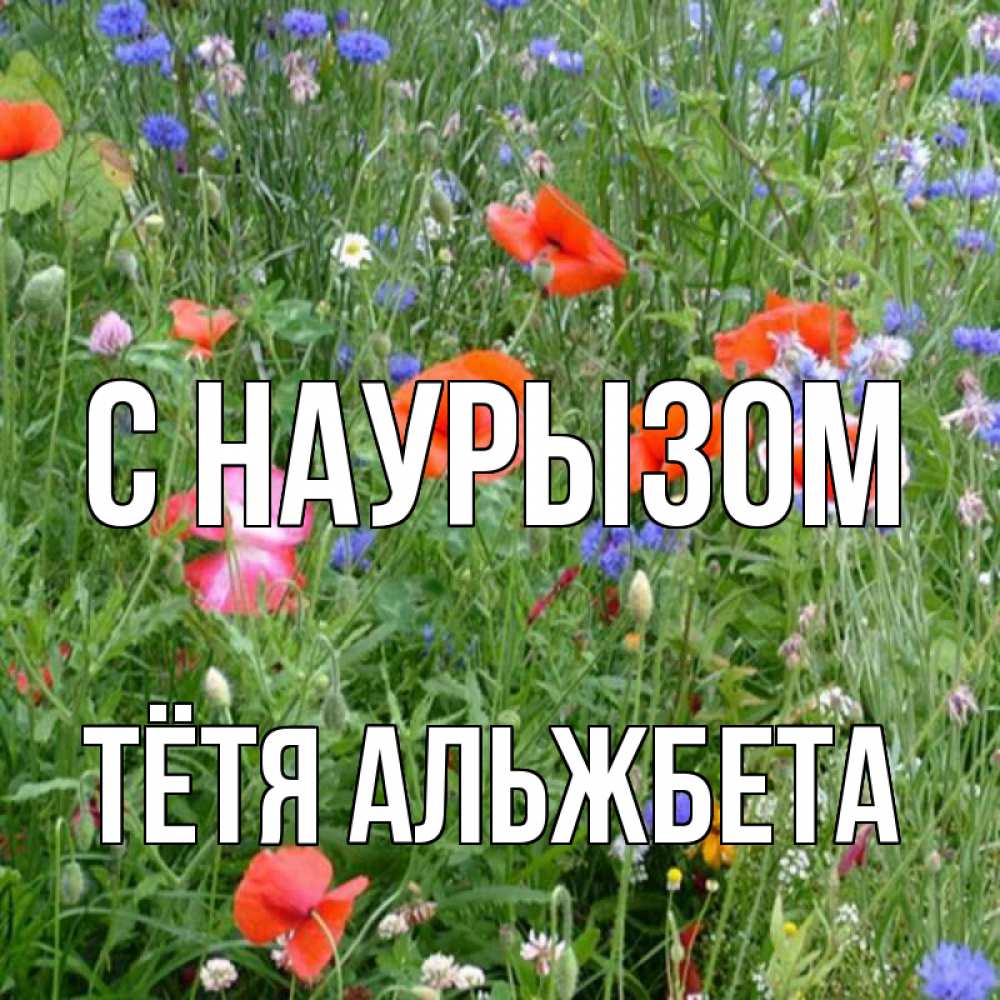 Открытка на каждый день с именем, Тётя-Альжбета С наурызом праздник весны наурыз супер открытка Прикольная открытка с пожеланием онлайн скачать бесплатно 