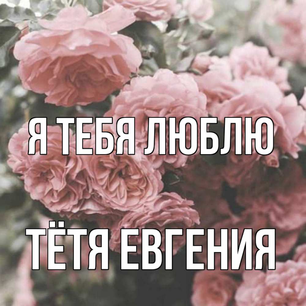 Открытка на каждый день с именем, Тётя-Евгения Я тебя люблю розы 3 Прикольная открытка с пожеланием онлайн скачать бесплатно 