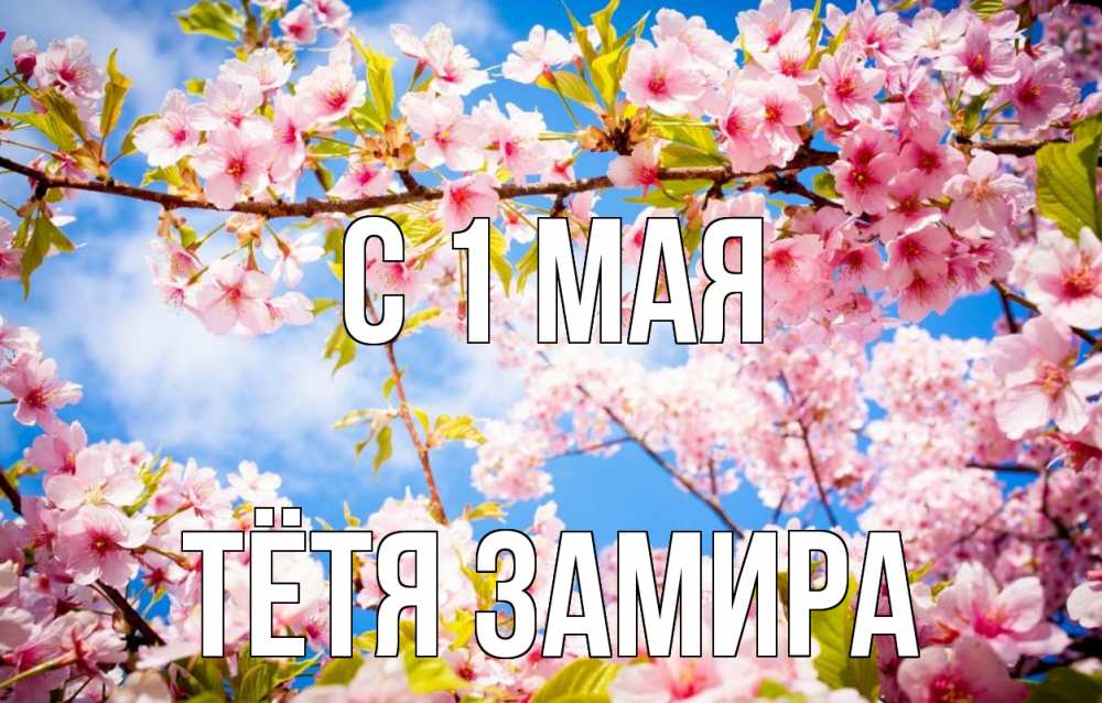 Открытка на каждый день с именем, Тётя-Замира С 1 мая С 1 мая Прикольная открытка с пожеланием онлайн скачать бесплатно 