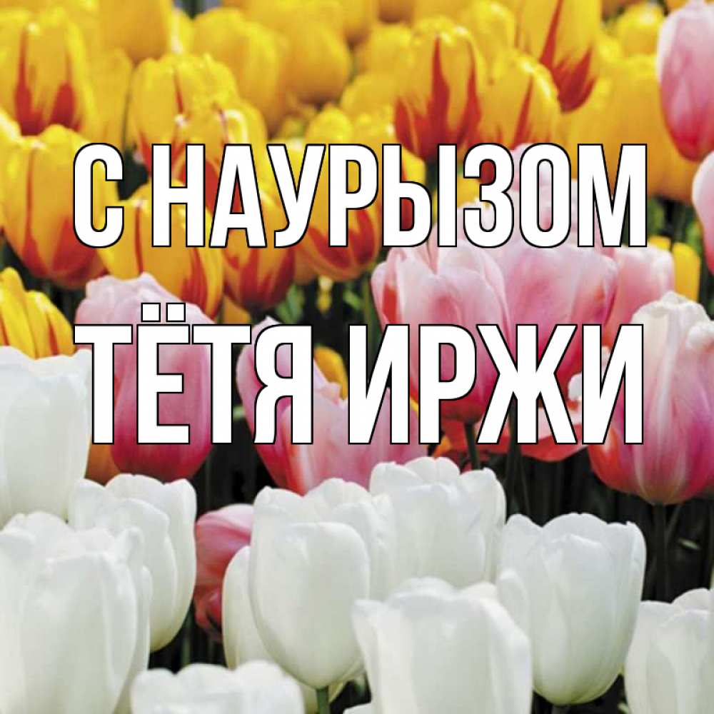 Открытка на каждый день с именем, Тётя-Иржи С наурызом разноцветные цветы Прикольная открытка с пожеланием онлайн скачать бесплатно 