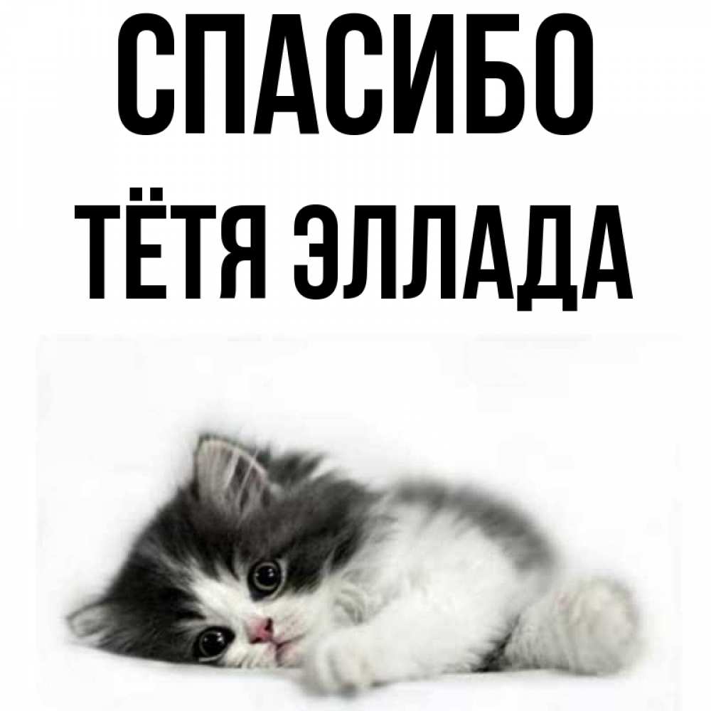 Открытка на каждый день с именем, Тётя-Эллада Спасибо черный и белый кот Прикольная открытка с пожеланием онлайн скачать бесплатно 