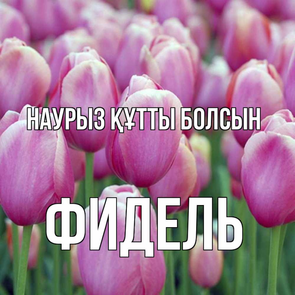 Открытка на каждый день с именем, Фидель Наурыз құтты болсын на наурыз  день 3 Прикольная открытка с пожеланием онлайн скачать бесплатно 