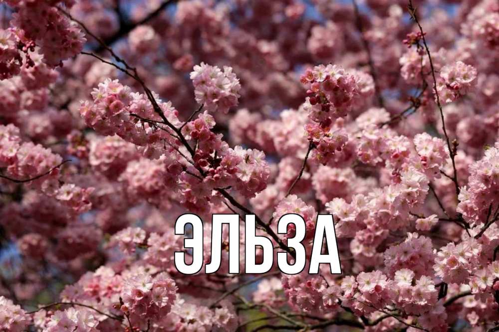 Открытка на каждый день с именем, Эльза Главная С 1 мая Прикольная открытка с пожеланием онлайн скачать бесплатно 