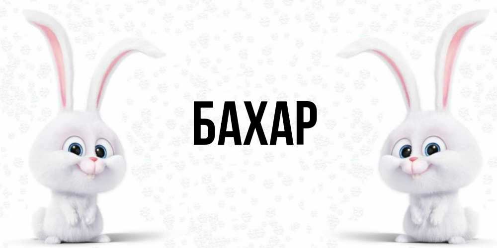 Открытка на каждый день с именем, Бахар Главная кролики с длинными ушками Прикольная открытка с пожеланием онлайн скачать бесплатно 