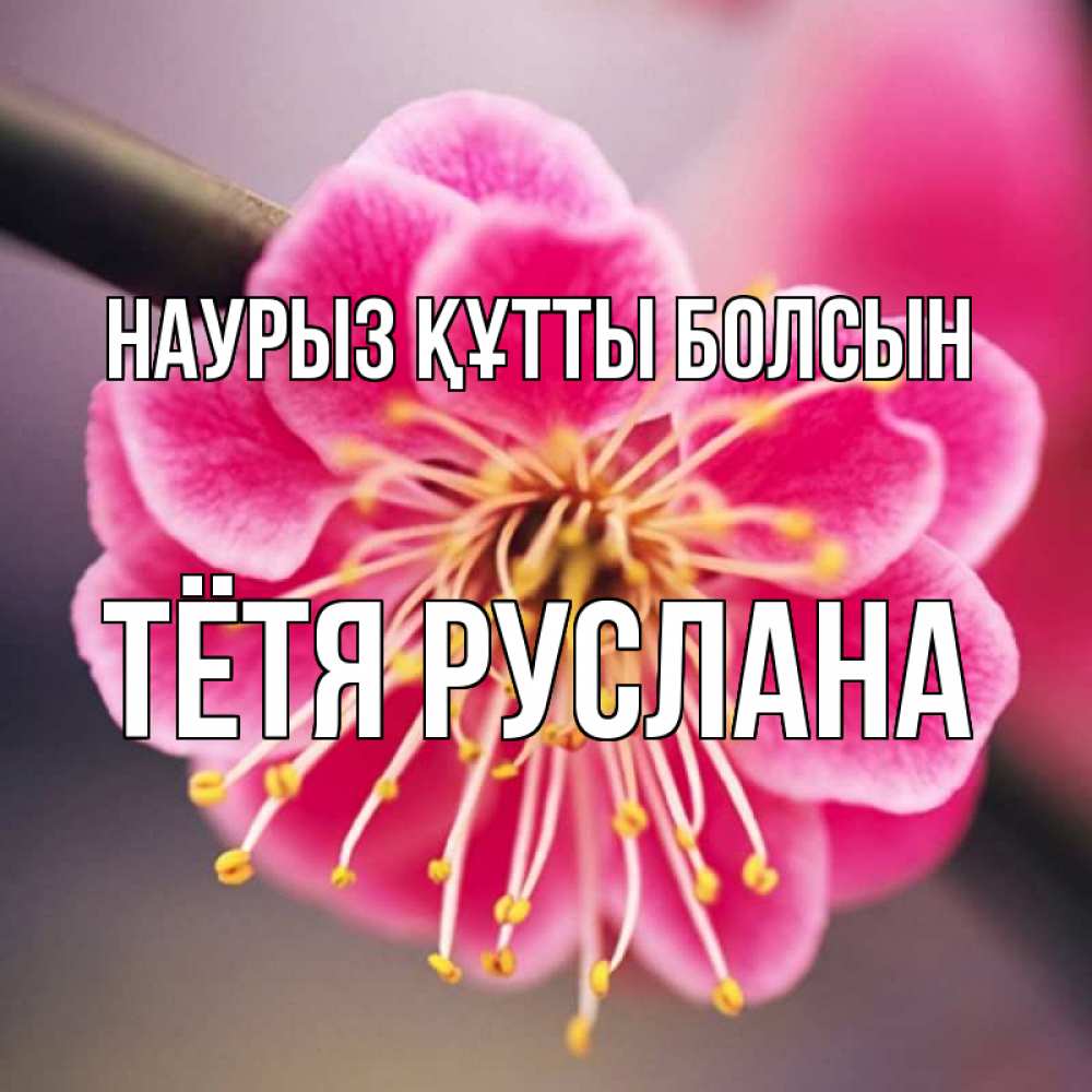 Открытка на каждый день с именем, Тётя-Руслана Наурыз құтты болсын цветы Прикольная открытка с пожеланием онлайн скачать бесплатно 