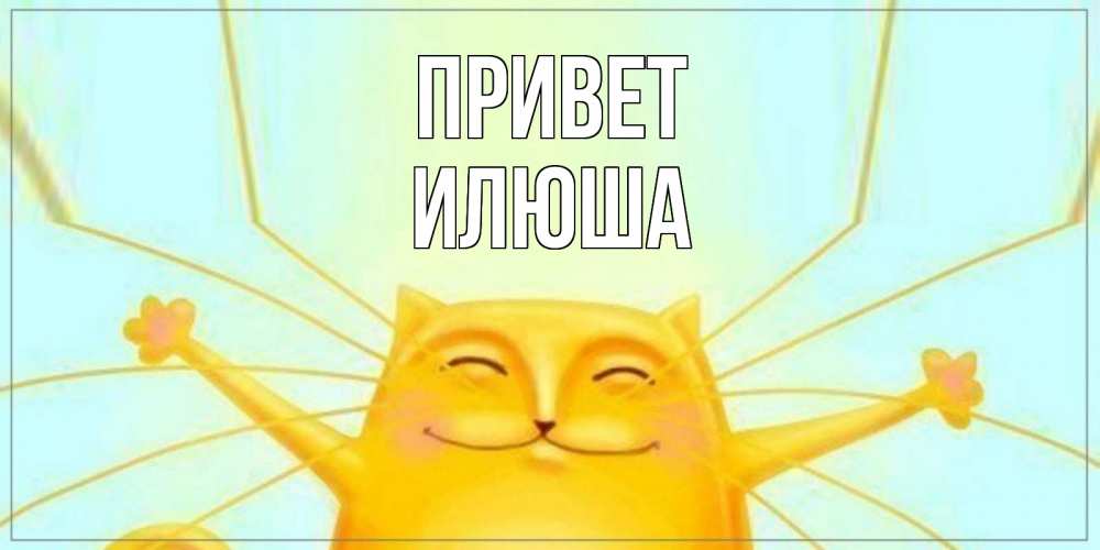Открытка на каждый день с именем, илюша Привет кот Прикольная открытка с пожеланием онлайн скачать бесплатно 