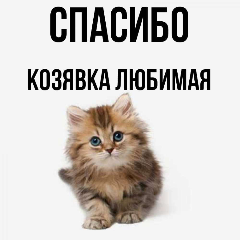Картинки Козявка