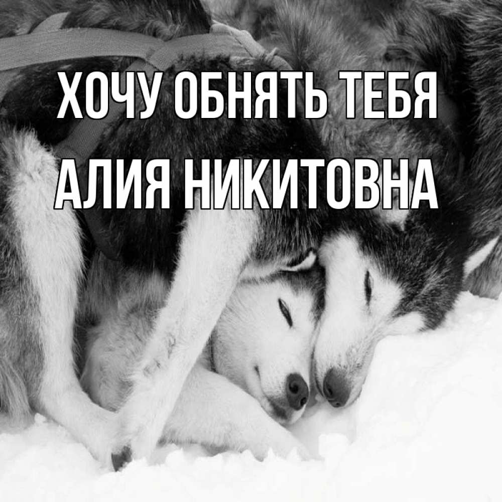 Картинка Хочу обнять тебя, Алия Никитовна