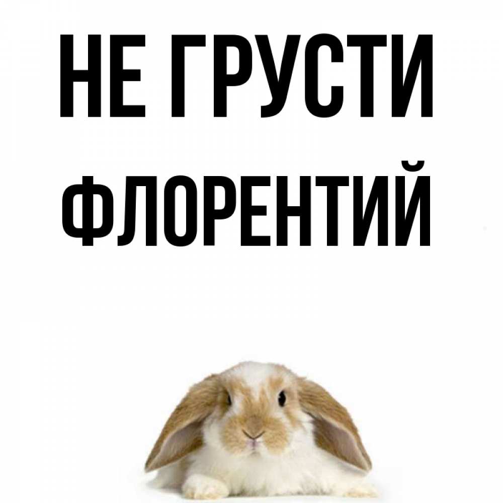 Открытка на каждый день с именем, Флорентий Не грусти коричнево белый заяц с большими ушками Прикольная открытка с пожеланием онлайн скачать бесплатно 