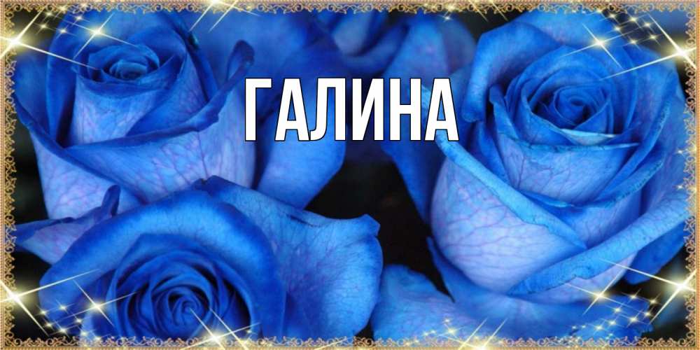 Открытка на каждый день с именем, Галина Главная красивые розы для милых дам на международный женский день Прикольная открытка с пожеланием онлайн скачать бесплатно 