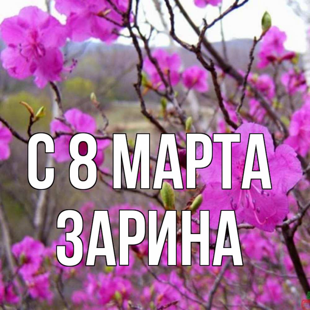 Открытка на каждый день с именем, Зарина С 8 МАРТА международный женский день Прикольная открытка с пожеланием онлайн скачать бесплатно 