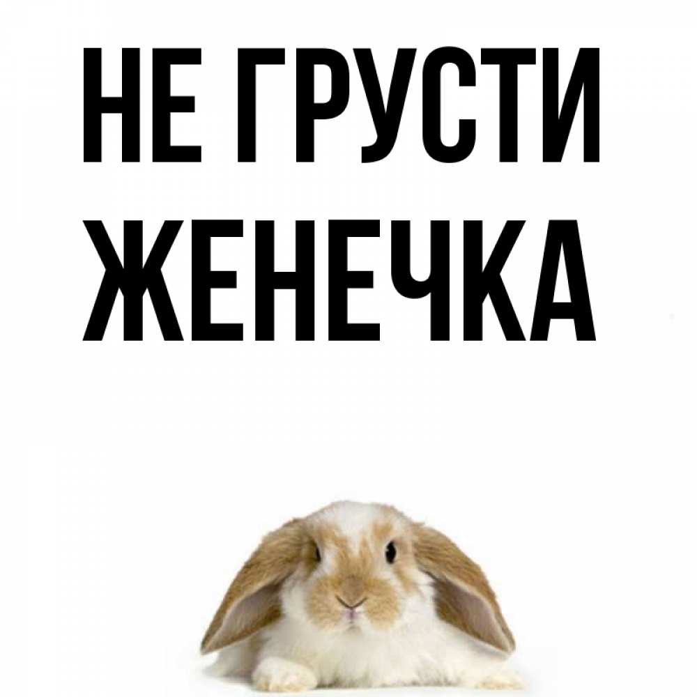 Милой женечке картинки, шаблоны для