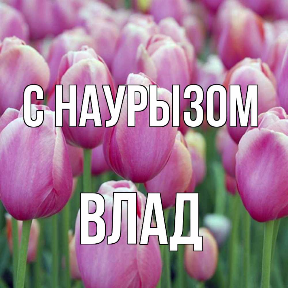 Картинка С наурызом, Влад