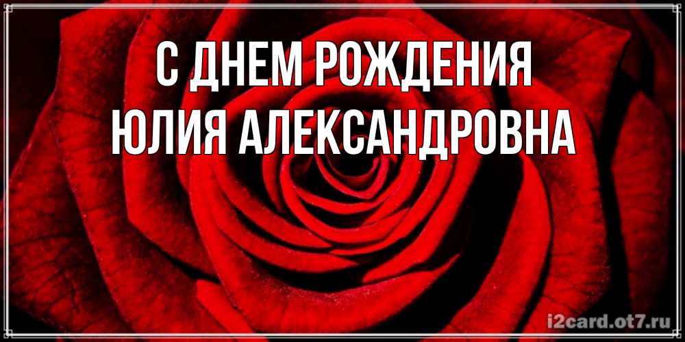 Открытка на каждый день с именем, Юлия-Александровна С днем рождения алая роза Прикольная открытка с пожеланием онлайн скачать бесплатно 