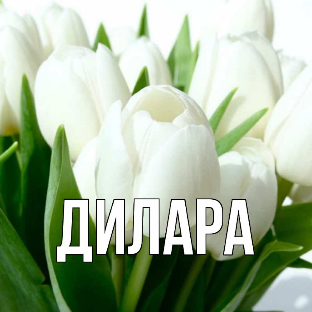 Открытка на каждый день с именем, Дилара Главная цветы Прикольная открытка с пожеланием онлайн скачать бесплатно 