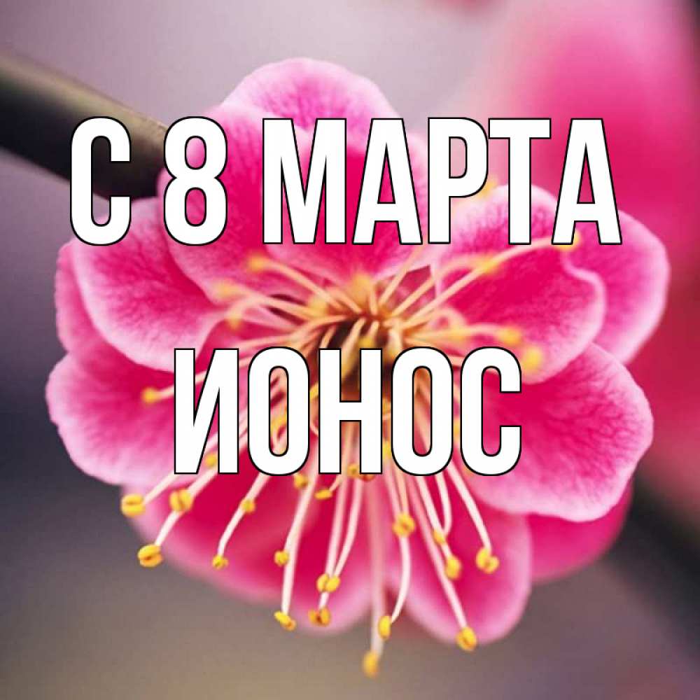Картинка С 8 МАРТА, Ионос