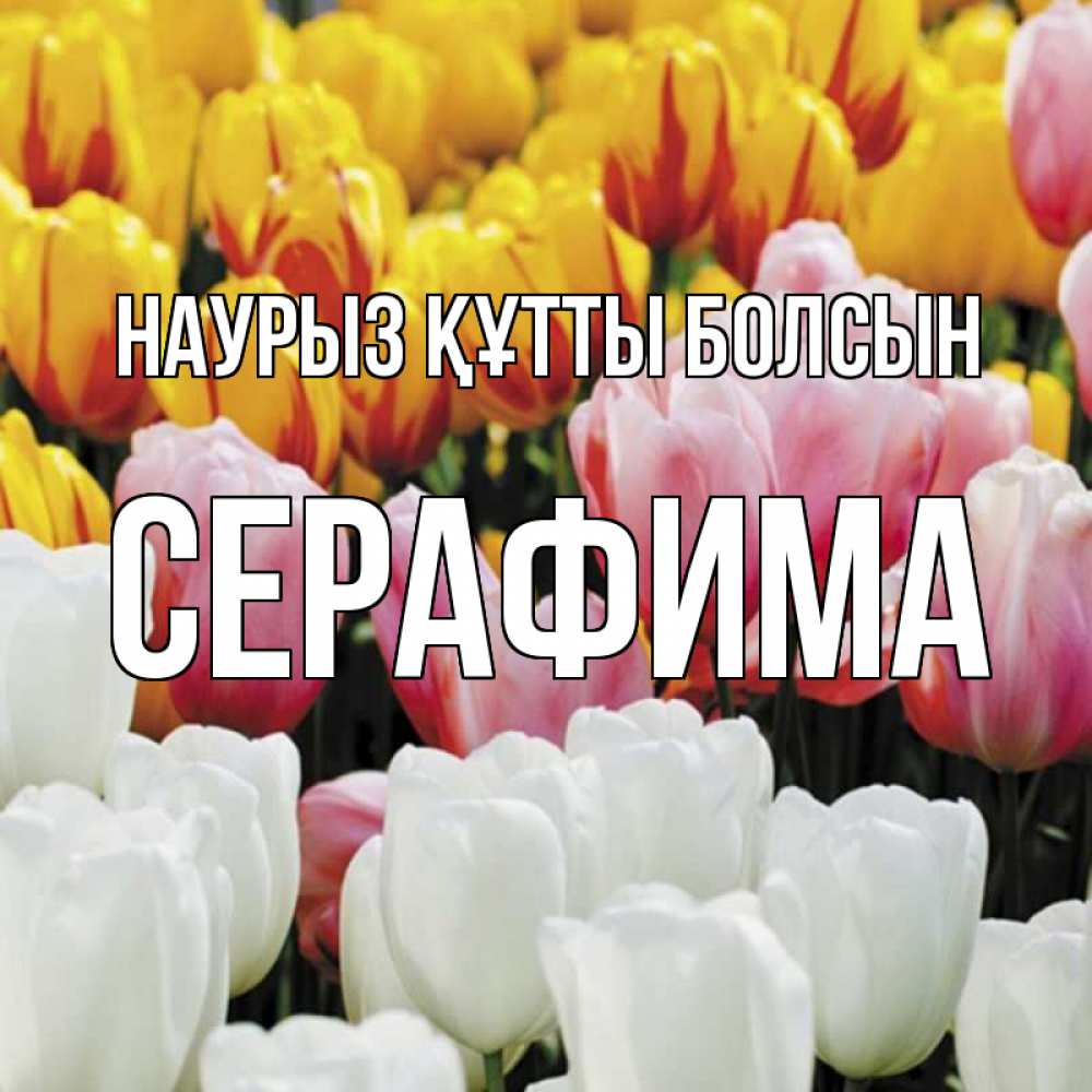 Открытка на каждый день с именем, Серафима Наурыз құтты болсын разноцветные цветы Прикольная открытка с пожеланием онлайн скачать бесплатно 