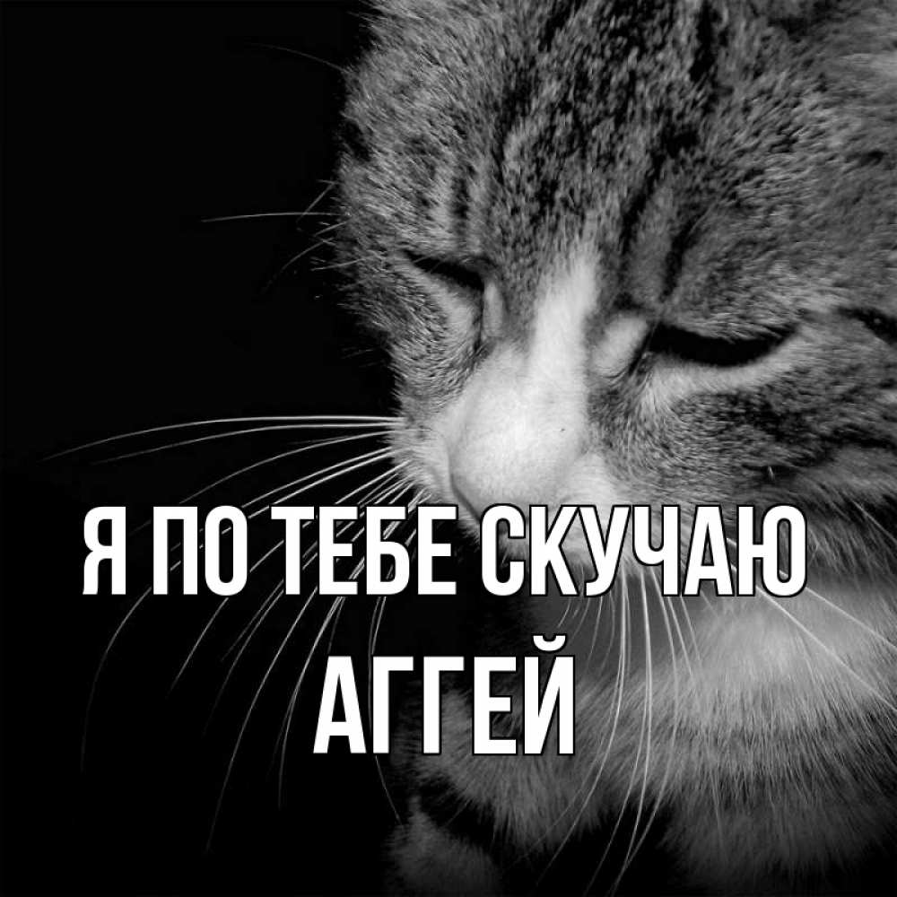 Открытка на каждый день с именем, Аггей Я по тебе скучаю мне скучно Прикольная открытка с пожеланием онлайн скачать бесплатно 