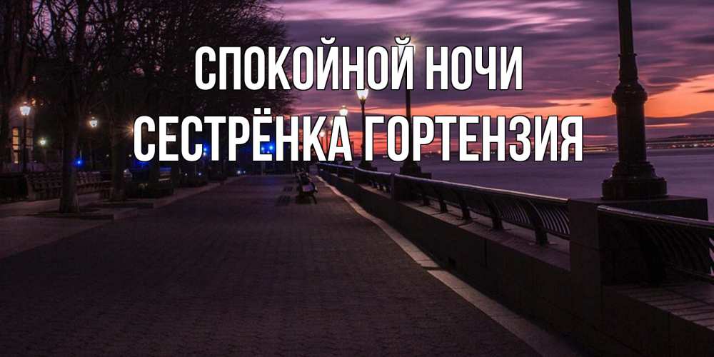 Открытка на каждый день с именем, Сестрёнка-Гортензия Спокойной ночи фонари на фоне реки Прикольная открытка с пожеланием онлайн скачать бесплатно 