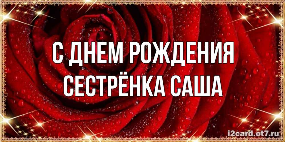 Открытка на каждый день с именем, Сестрёнка-Саша С днем рождения роса на розе блестящая в лучах солнца Прикольная открытка с пожеланием онлайн скачать бесплатно 