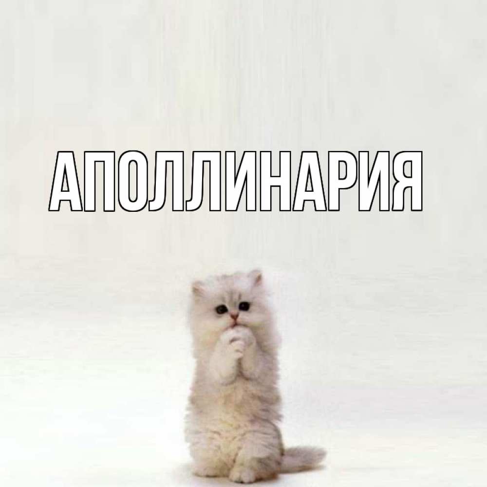 Открытка на каждый день с именем, Аполлинария Главная грустный кот Прикольная открытка с пожеланием онлайн скачать бесплатно 