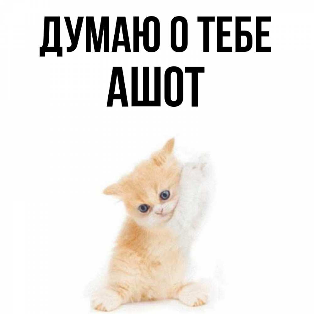 Открытка на каждый день с именем, Ашот Думаю о тебе зверушки и милота Прикольная открытка с пожеланием онлайн скачать бесплатно 