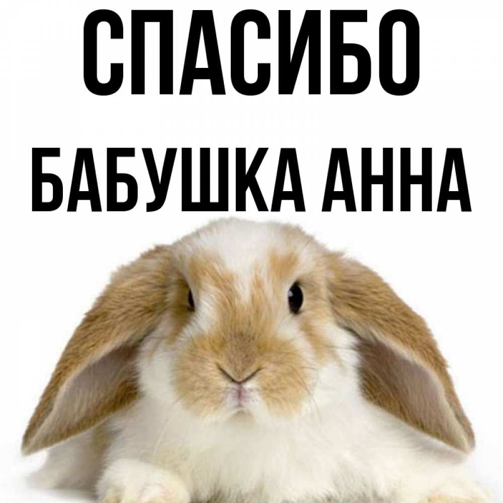 Открытка на каждый день с именем, Бабушка-Анна Спасибо коричнево белый заяц Прикольная открытка с пожеланием онлайн скачать бесплатно 