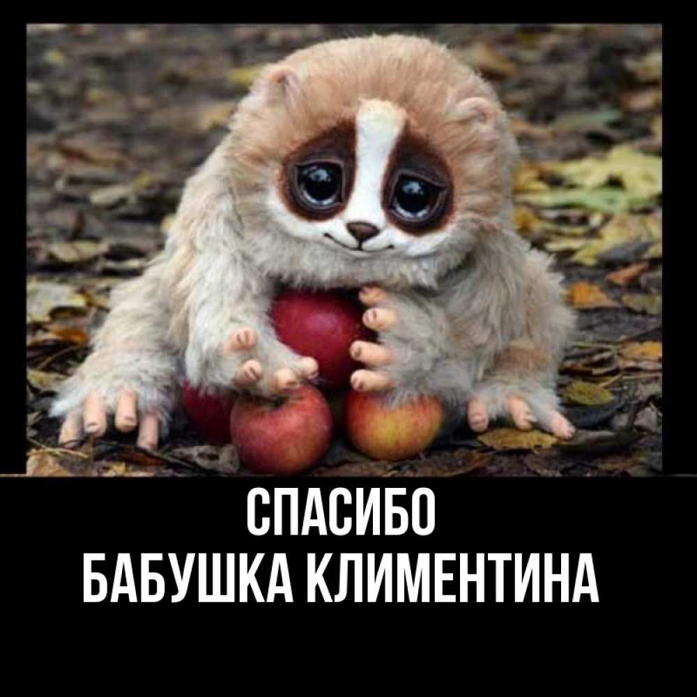 Открытка на каждый день с именем, Бабушка-Климентина Спасибо прикольное животное Прикольная открытка с пожеланием онлайн скачать бесплатно 
