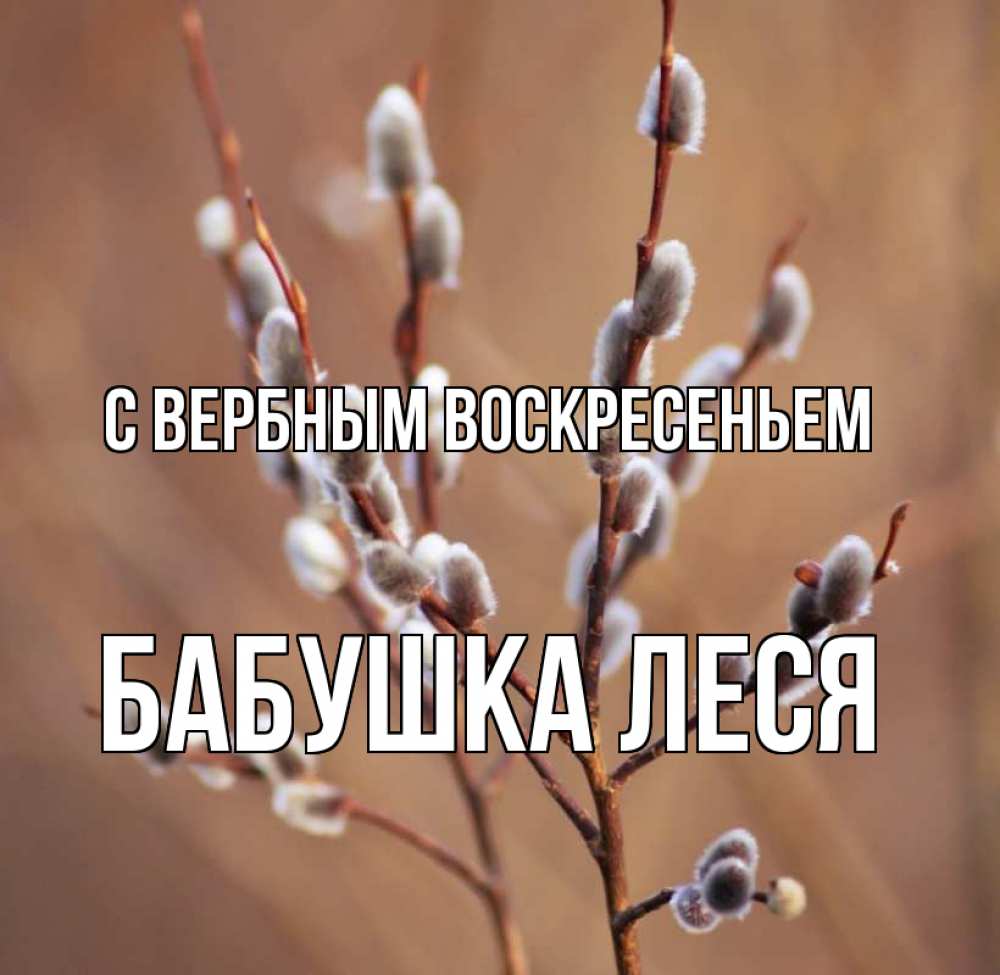 Открытка на каждый день с именем, Бабушка-Леся С вербным воскресеньем верба Прикольная открытка с пожеланием онлайн скачать бесплатно 