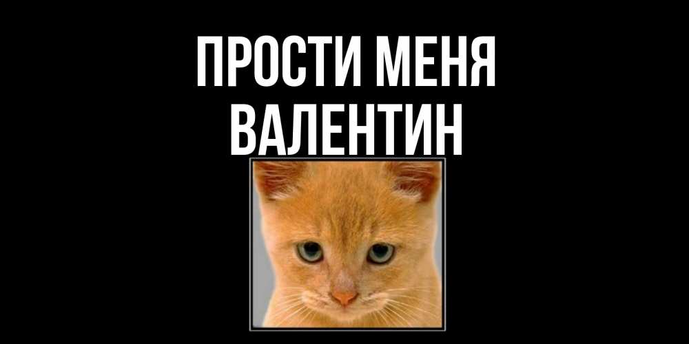 Открытка на каждый день с именем, Валентин Прости меня рыжий грустный кот просит прощения Прикольная открытка с пожеланием онлайн скачать бесплатно 