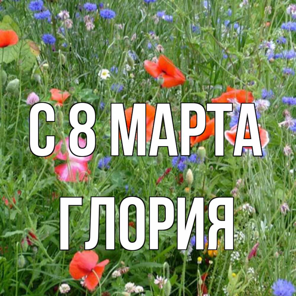 Открытка на каждый день с именем, Глория С 8 марта международный женский день 4 Прикольная открытка с пожеланием онлайн скачать бесплатно 