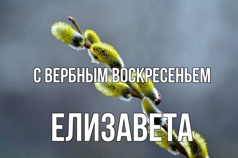 Открытка на каждый день с именем, Елизавета С вербным воскресеньем верба Прикольная открытка с пожеланием онлайн скачать бесплатно 