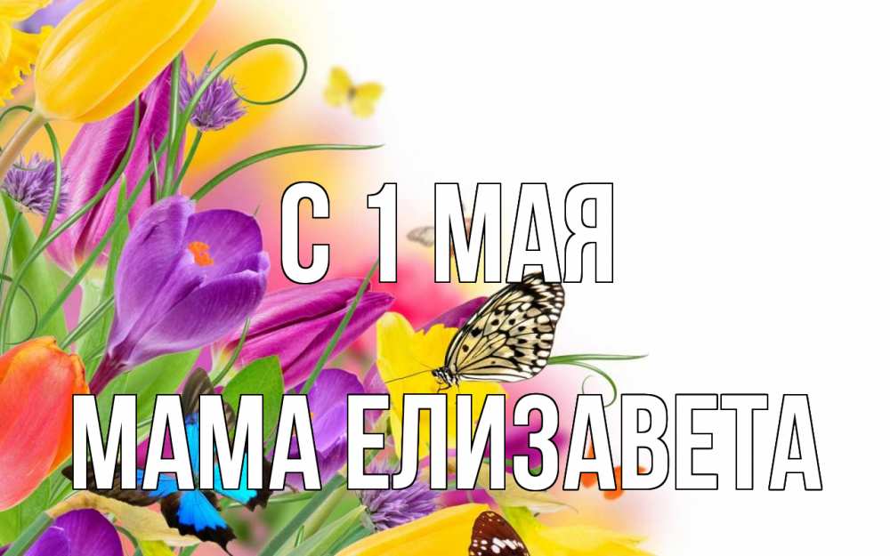 Открытка на каждый день с именем, Мама-Елизавета С 1 мая С 1 мая Прикольная открытка с пожеланием онлайн скачать бесплатно 