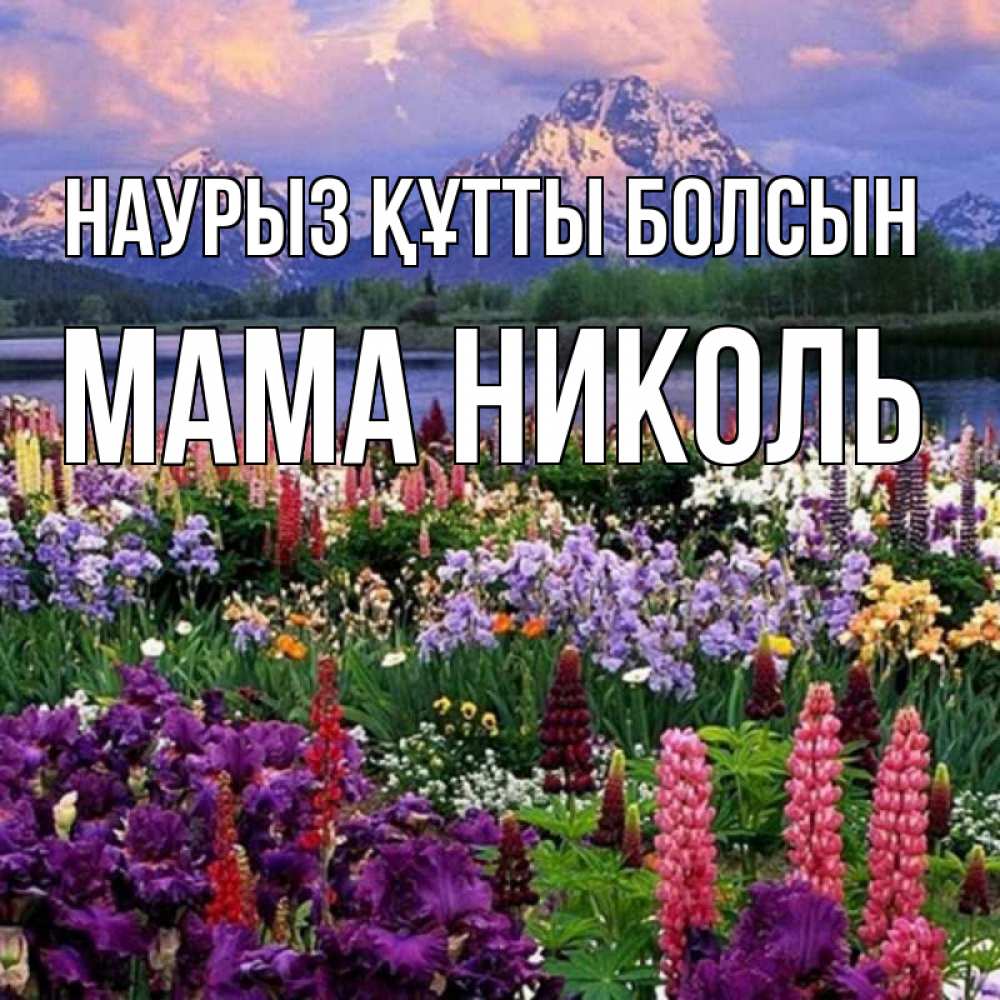 Открытка на каждый день с именем, Мама-Николь Наурыз құтты болсын наурыз Прикольная открытка с пожеланием онлайн скачать бесплатно 