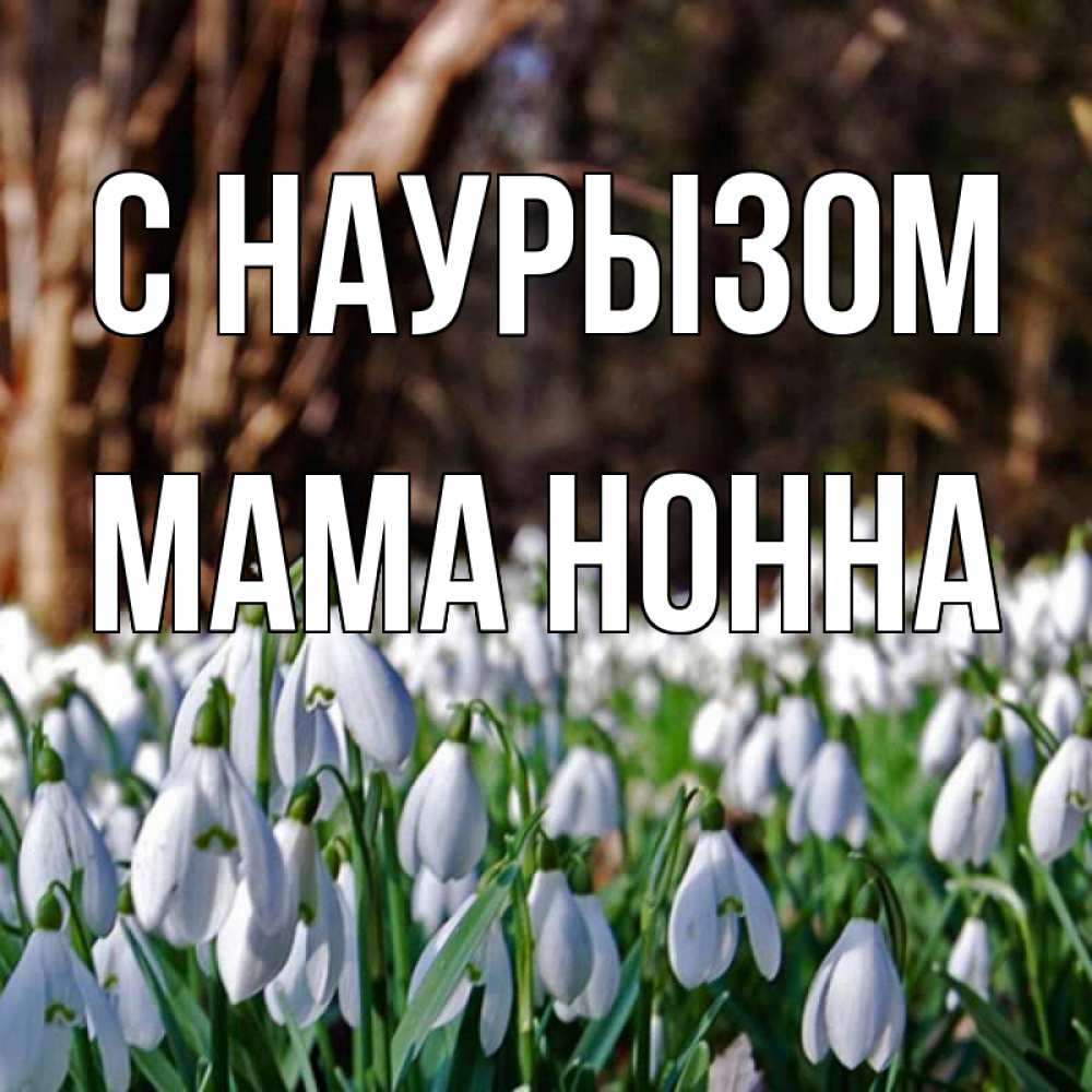 Открытка на каждый день с именем, Мама-Нонна С наурызом с подснежниками 1 Прикольная открытка с пожеланием онлайн скачать бесплатно 