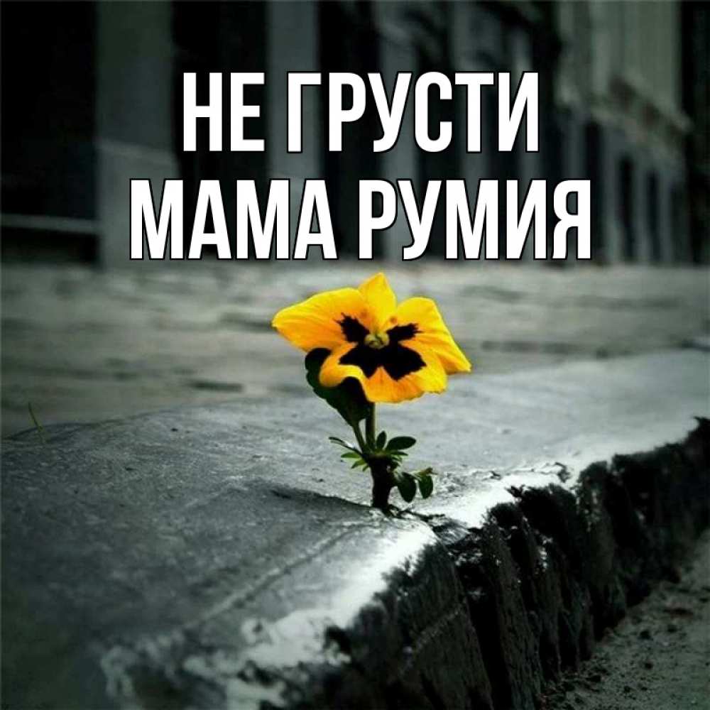 Открытка на каждый день с именем, Мама-Румия Не грусти не сдавайся Прикольная открытка с пожеланием онлайн скачать бесплатно 