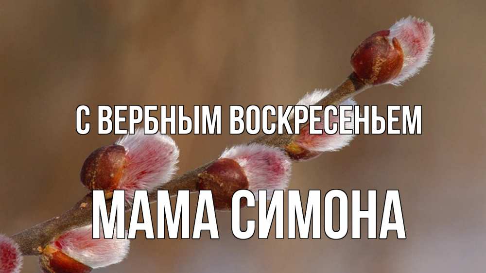 Открытка на каждый день с именем, Мама-Симона С вербным воскресеньем верба Прикольная открытка с пожеланием онлайн скачать бесплатно 
