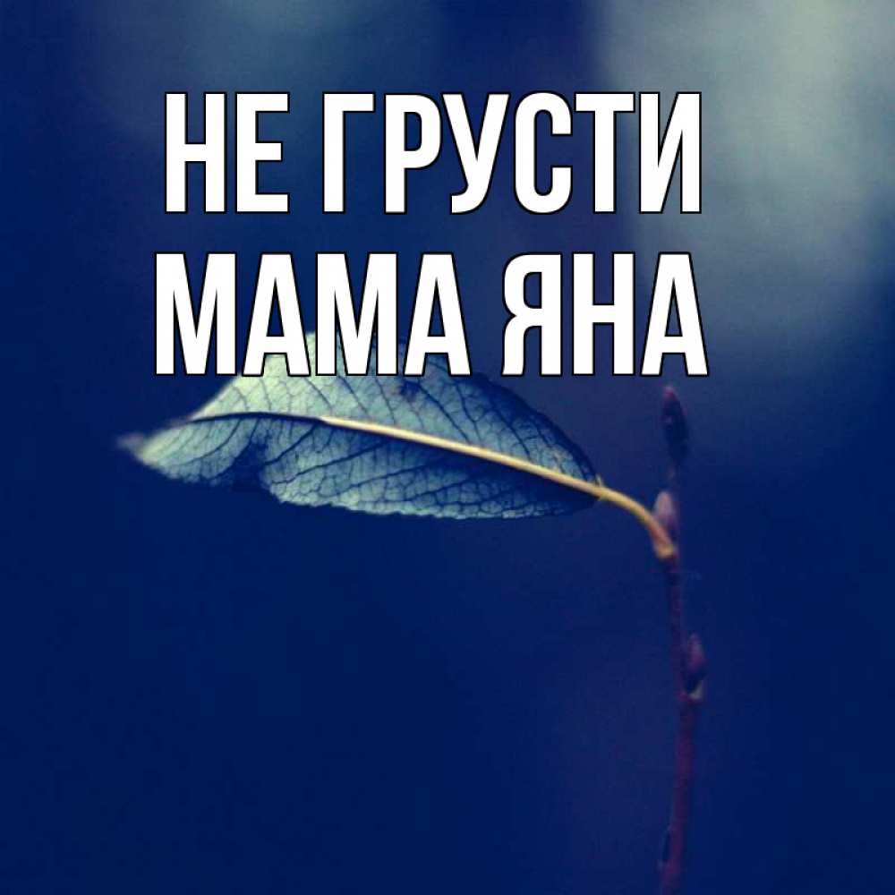 Открытка на каждый день с именем, Мама-Яна Не грусти растение Прикольная открытка с пожеланием онлайн скачать бесплатно 