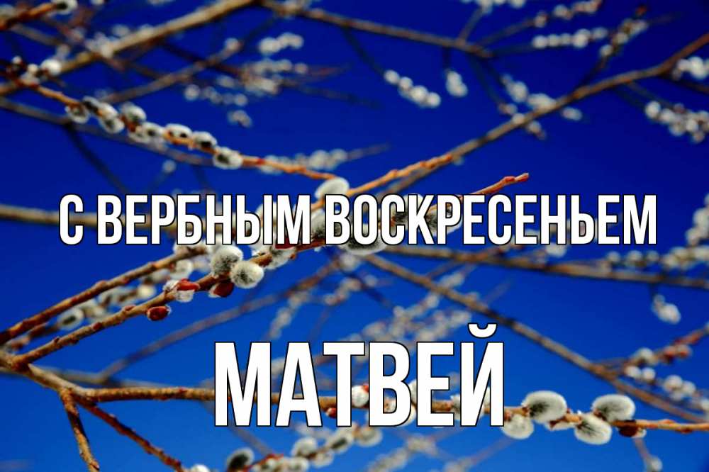 Открытка на каждый день с именем, Матвей С вербным воскресеньем верба Прикольная открытка с пожеланием онлайн скачать бесплатно 