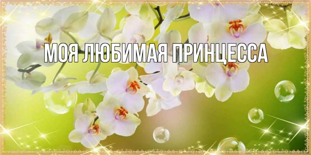 Открытка на каждый день с именем, Моя-Любимая-Принцесса Главная открытка с цветами на международный женский день Прикольная открытка с пожеланием онлайн скачать бесплатно 