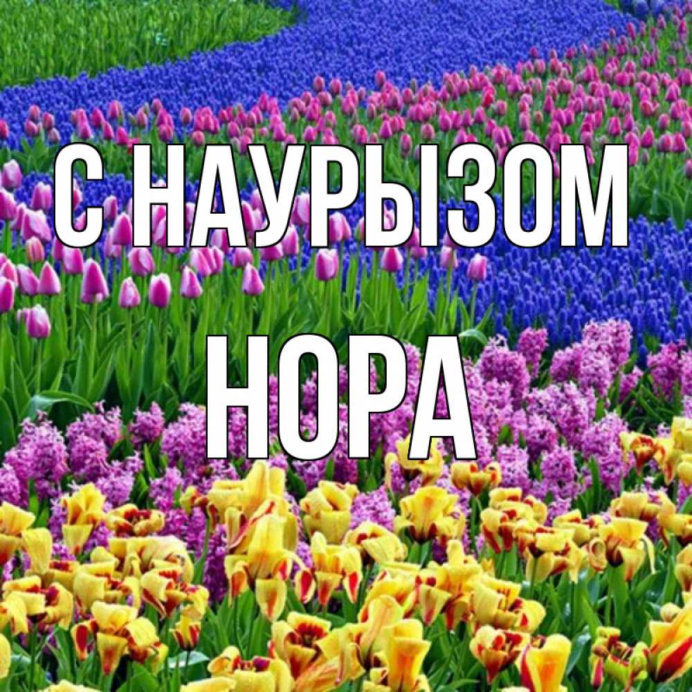Открытка на каждый день с именем, Нора С наурызом цветы Прикольная открытка с пожеланием онлайн скачать бесплатно 
