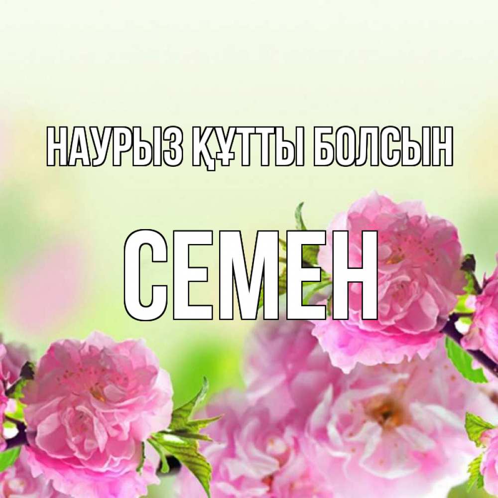 Открытка на каждый день с именем, Семен Наурыз құтты болсын цветы Прикольная открытка с пожеланием онлайн скачать бесплатно 