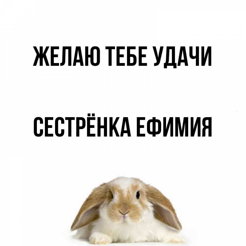 Открытка на каждый день с именем, Сестрёнка-Ефимия Желаю тебе удачи открытки с произвольным текстом который можно вставить в открытку и создать ее самостоятельно бесплатно онлайн Прикольная открытка с пожеланием онлайн скачать бесплатно 
