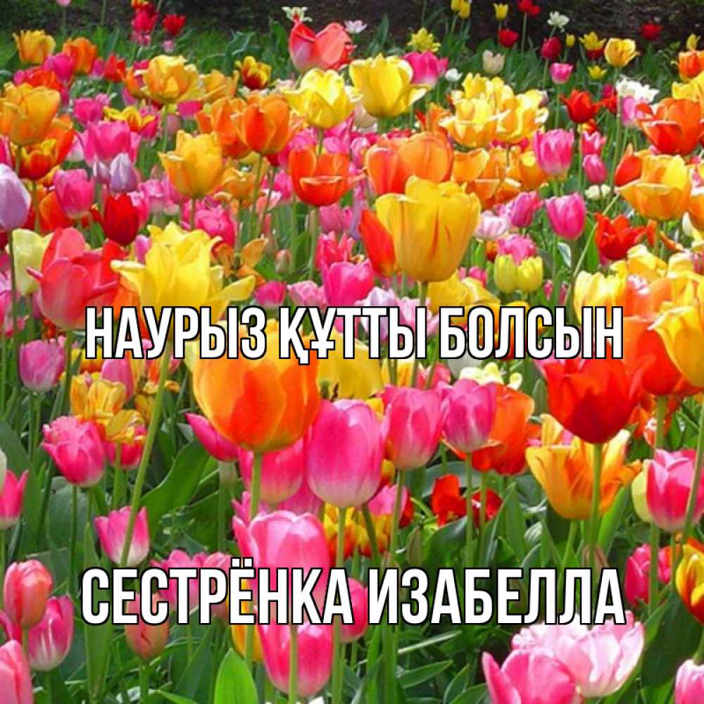 Открытка на каждый день с именем, Сестрёнка-Изабелла Наурыз құтты болсын на наурыз  ура ура Прикольная открытка с пожеланием онлайн скачать бесплатно 