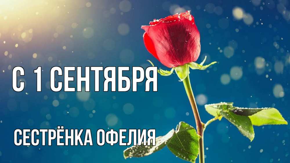 Открытка на каждый день с именем, Сестрёнка-Офелия С 1 сентября с днем знаний Прикольная открытка с пожеланием онлайн скачать бесплатно 
